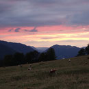 Blick Richtung Westen