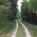 im Graben haben wir Zeit verplempert, sind aber jetzt auf dem Nesselbodenrötiweg 