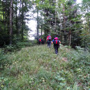 Im Urwald oberhalb von Wolfisberg unterwegs