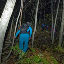 im dichten Unterholz ostseitig der Hütte