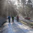 Die eine Hälfte der Wandergruppe taucht im Nebel ab, die andere Hälfte bleibt an der Sonne 