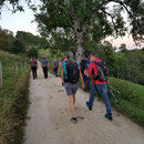 zügig unterwegs