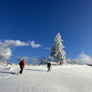 Fabelhafte Wanderbedingungen mit zum Teil hohen Schneeverwehungen