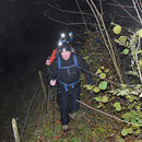 Der Waldweg ist zugewachsen
