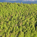 Schönes Farbenspiel in der Abendsonne beim Blick Richtung Schattenberg