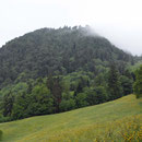 Beim Bettlachstock ist die Sicht geradezu fantastisch