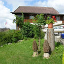 Die einzigen Pilze am Jurahöhenweg beim Restaurant Aux vieux Grenier in Plagne