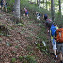 Die lange Kampfwanderschlange