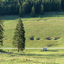 Dolinen gibt es auch im Jura