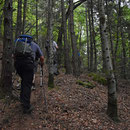 immer leicht offroad