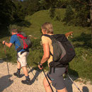 Am Start noch zügiges Tempo