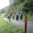 Nun geht es in den Wald