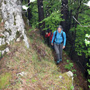 auf dem Grat