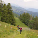 In der letzten Wanderstunde vor dem Chasseral geht es noch einmal aufwärts  