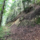 im Schofgraben