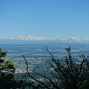 Prächtiges Alpenpanorama