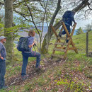Austritt auf die Alpweide