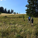 hinein ins UNESCO Weltnaturerbe