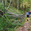 die Schlucht hoch