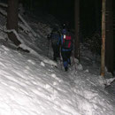Wandern im Winterwald