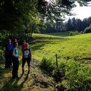 Start in den Wälder um Ferrenberg