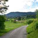 der Geissfluh entgegen