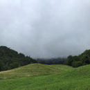 Die Wandfluh hat sich im Nebel versteckt