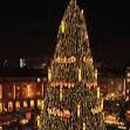 Weihnachsbaum Dortmund