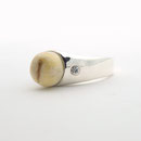 Ring mit Pferdezahn