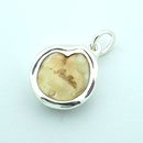 Pferdezahn Schmuck
