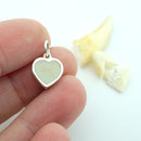 Schmuck mit Hundezahn