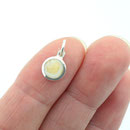 Pferdezahn Schmuck 