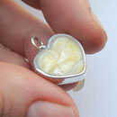 pferdezahn schmuck