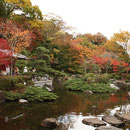 県立城山公園