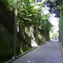 小路