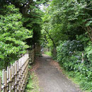 小路