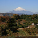富士山