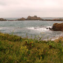 Guernsey im Regen