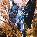 Schmetterling Isabella