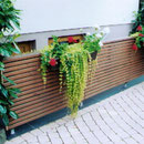 Treppengeländerverkleidung in Douglasienleisten