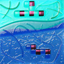 WISHES Design 11
