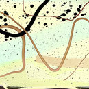 WISHES Design 45