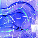 WISHES Design 01