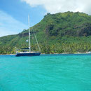 Unser schöner Ankerplatz in Moorea (wenn nur nicht der Wind gewesen wäre)