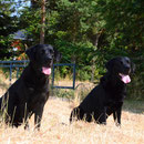 Acer und Coby