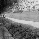35_787_Emsenbach unterhalb der Wiesenstraße 1979
