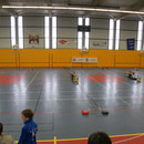 le montage fait le matin, pistes en place