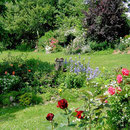 Landhaus Wildfeuer: Garten