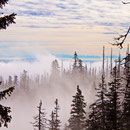 Kein brennender Wald, sondern Novembernebel am Rachel