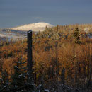 Winterstimmung am Lusen im Nationalpark Bayerischer Wald
